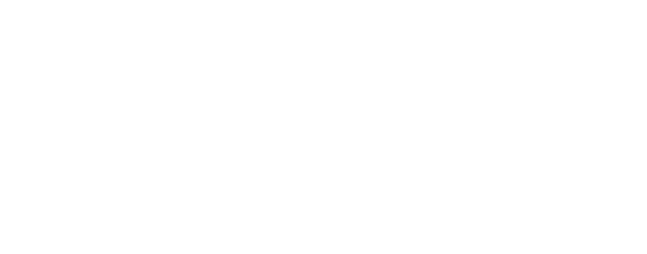 BASES